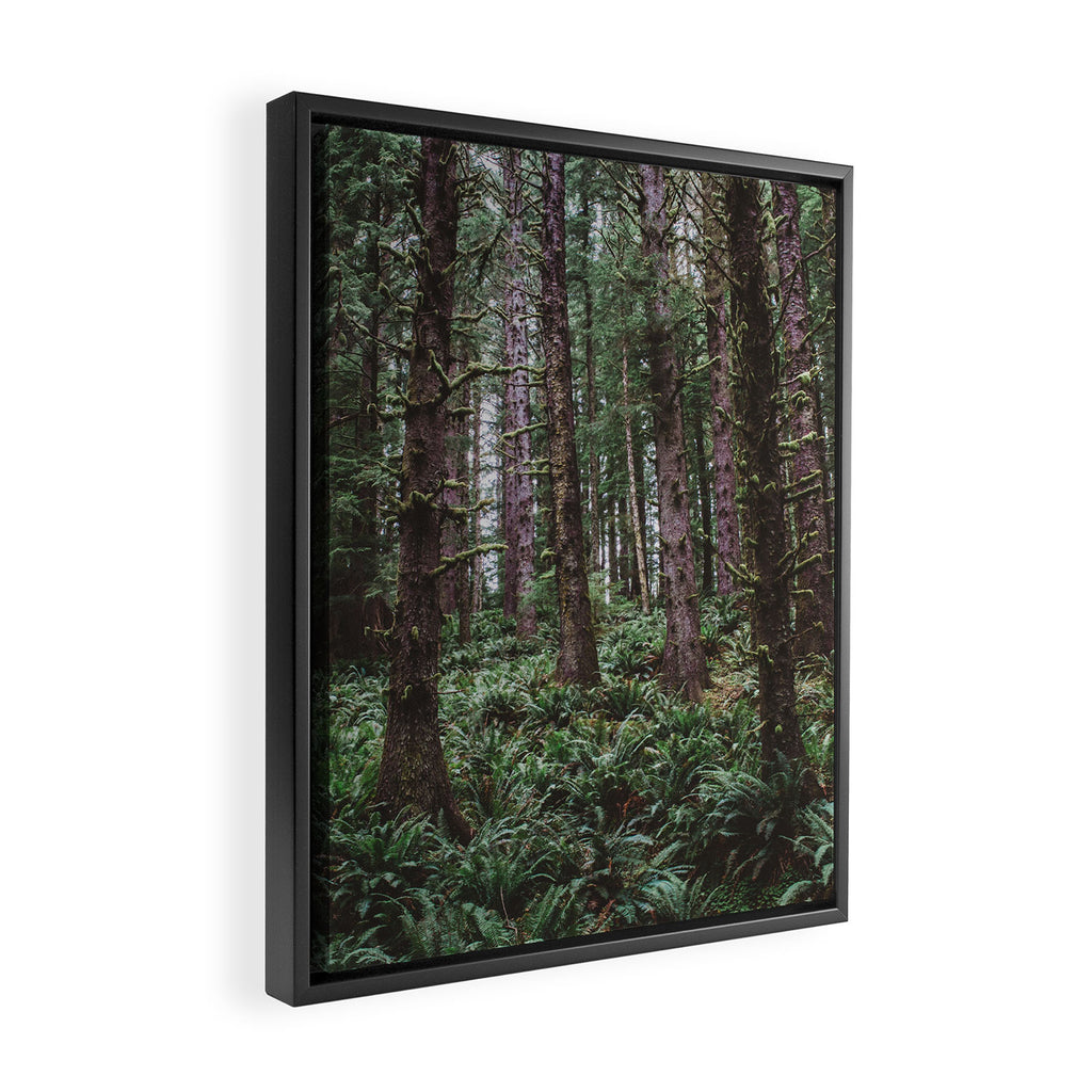 Forest Dark, Forest Deep III Framed Canvas Print Gallery Image 2