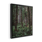 Forest Dark, Forest Deep III Framed Canvas Print Gallery Image 2