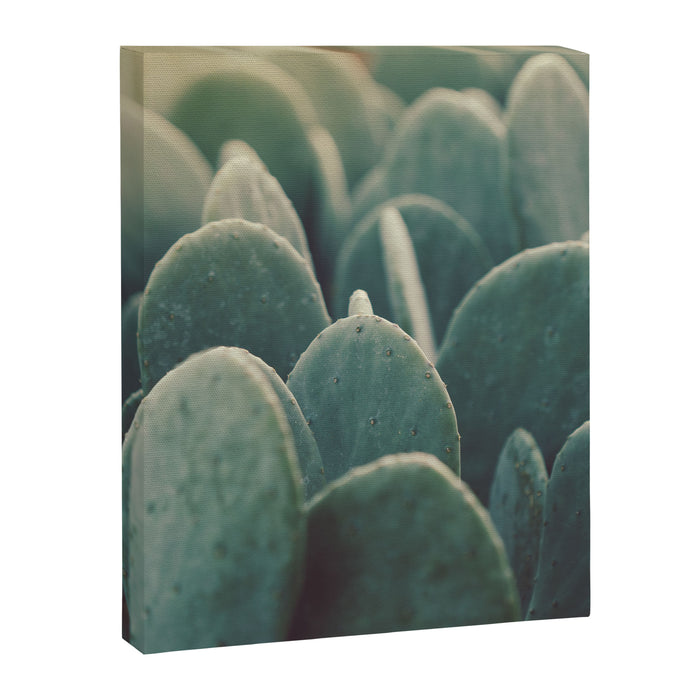 Green + Gold Canvas Print Gallery Image 1
