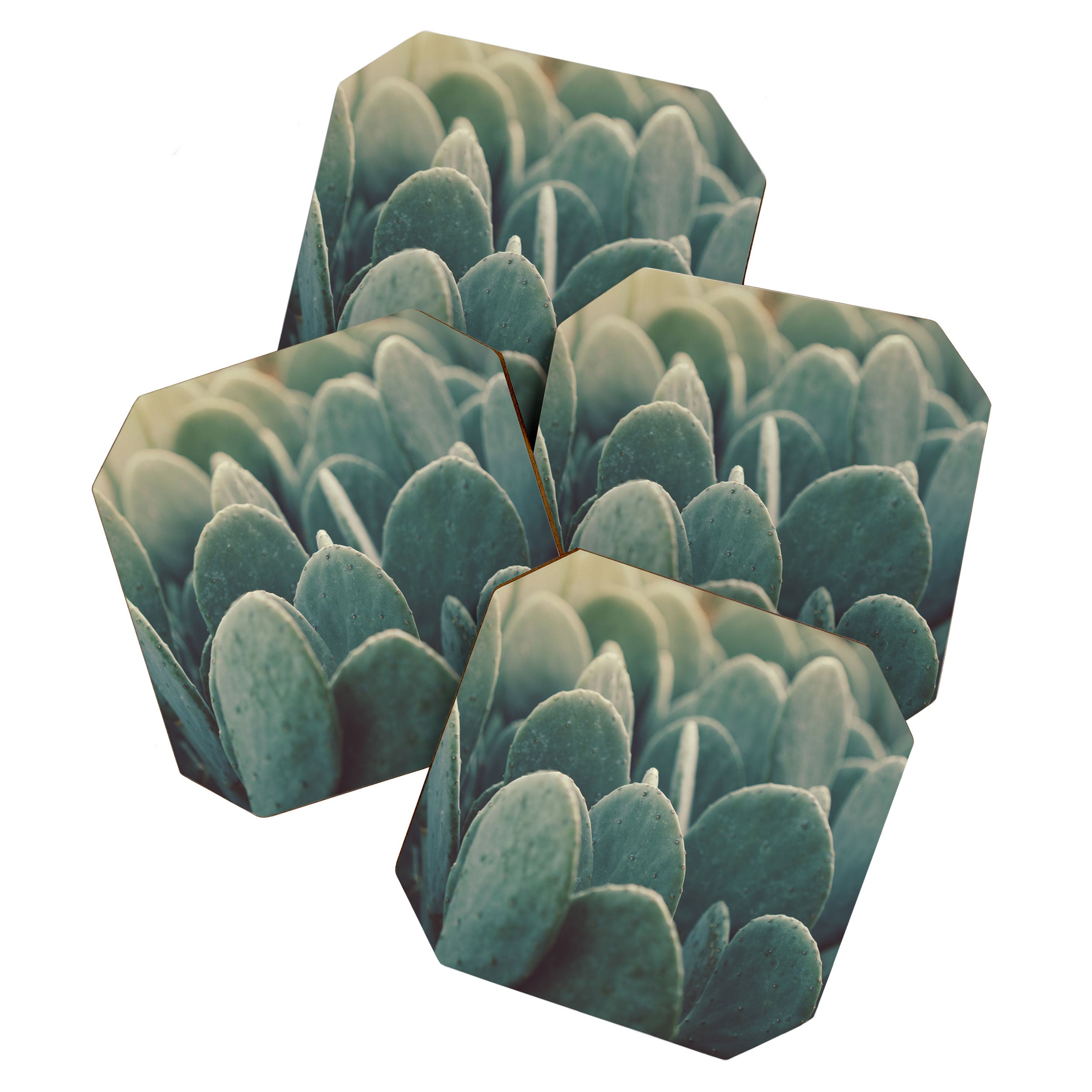 Green + Gold Coaster Gallery Image 1