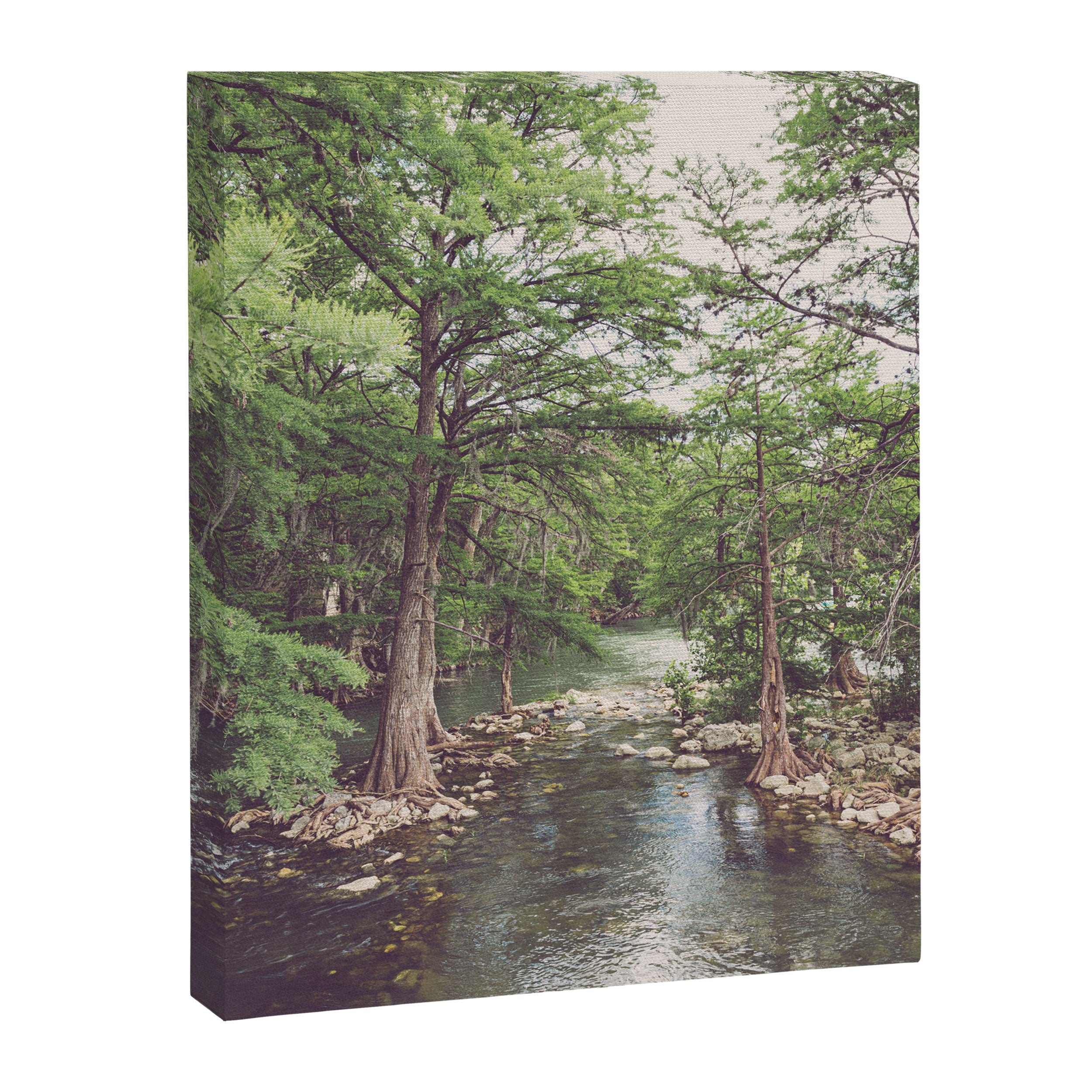 Guadalupe River New Braunfels Texas Photography Canvas Print Gallery Image 6