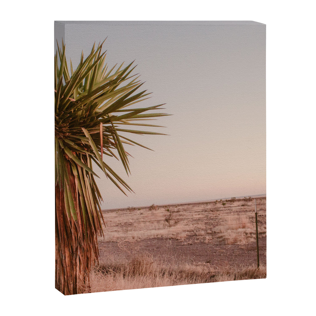 High Desert Sunset Canvas Print Gallery Image 6