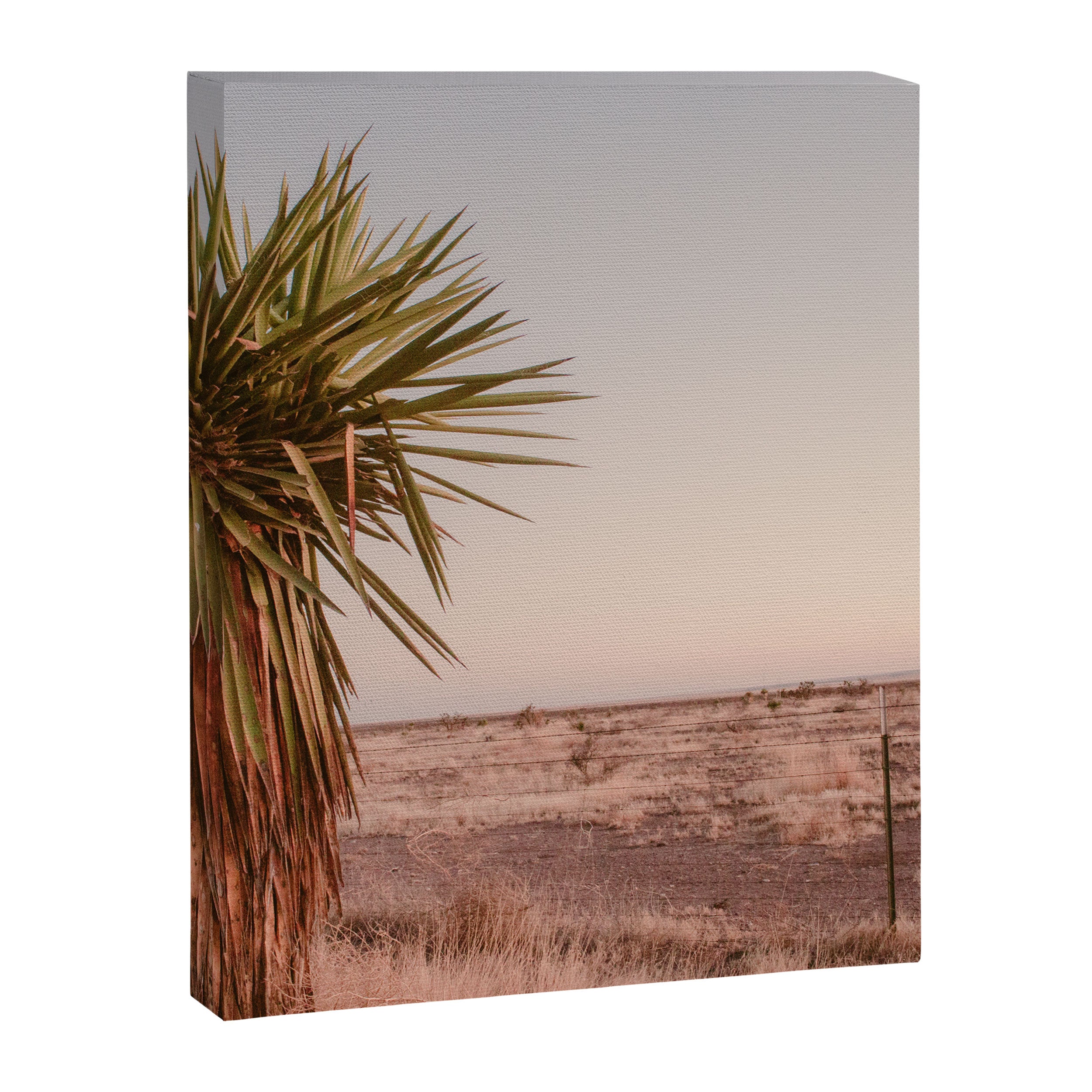 High Desert Sunset Canvas Print Gallery Image 6