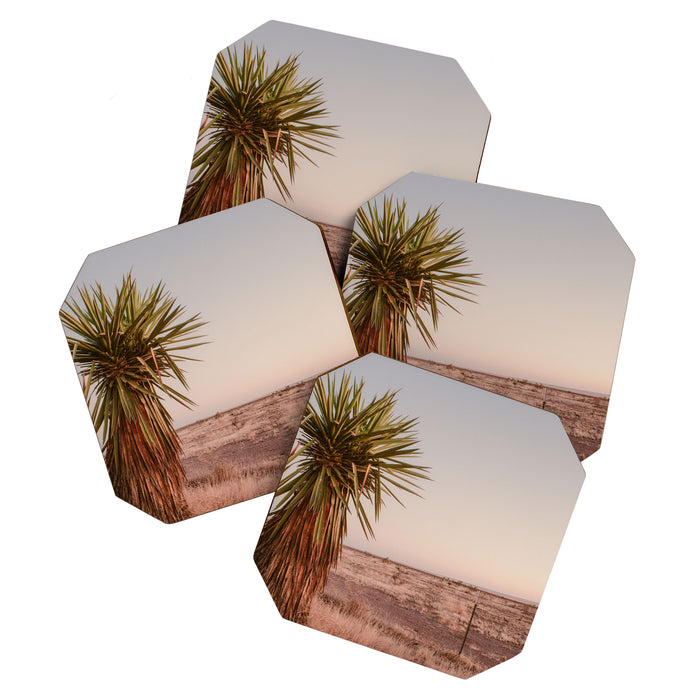 High Desert Sunset Coaster Gallery Image 1