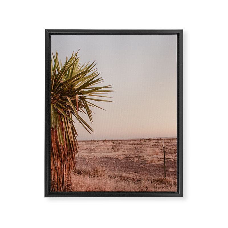 High Desert Sunset Framed Canvas Print Gallery Image 6