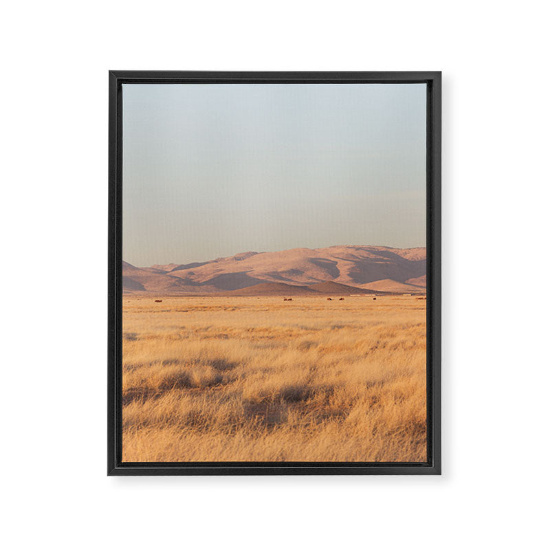 Home on the Range II Framed Canvas Print Gallery Image 6
