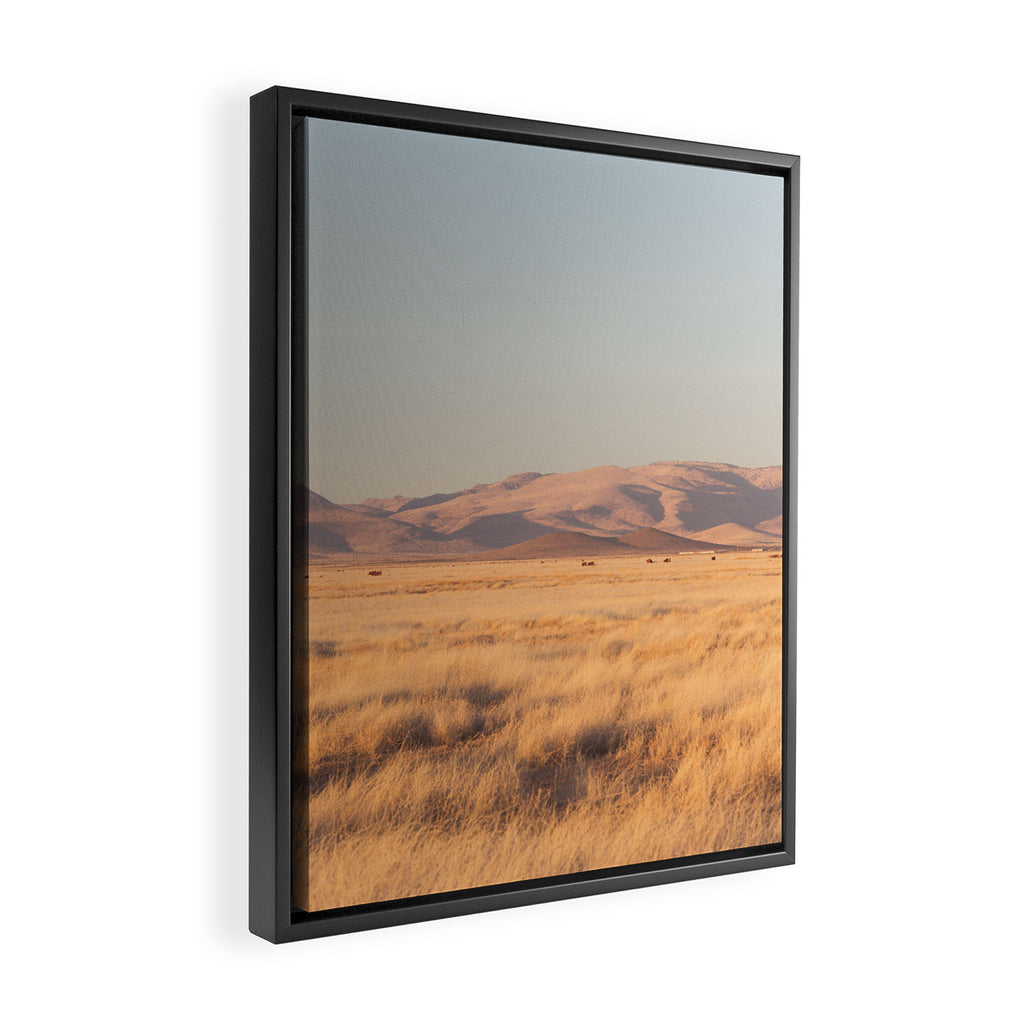 Home on the Range II Framed Canvas Print Gallery Image 2