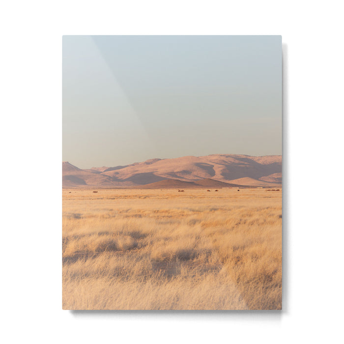 Home on the Range II Metal Print Gallery Image 1