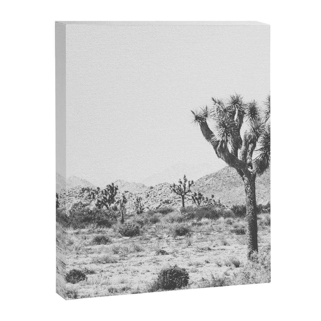 Joshua Tree Monochrome, No. 1 Canvas Print Gallery Image 8