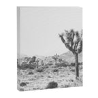 Joshua Tree Monochrome, No. 1 Canvas Print Gallery Image 8
