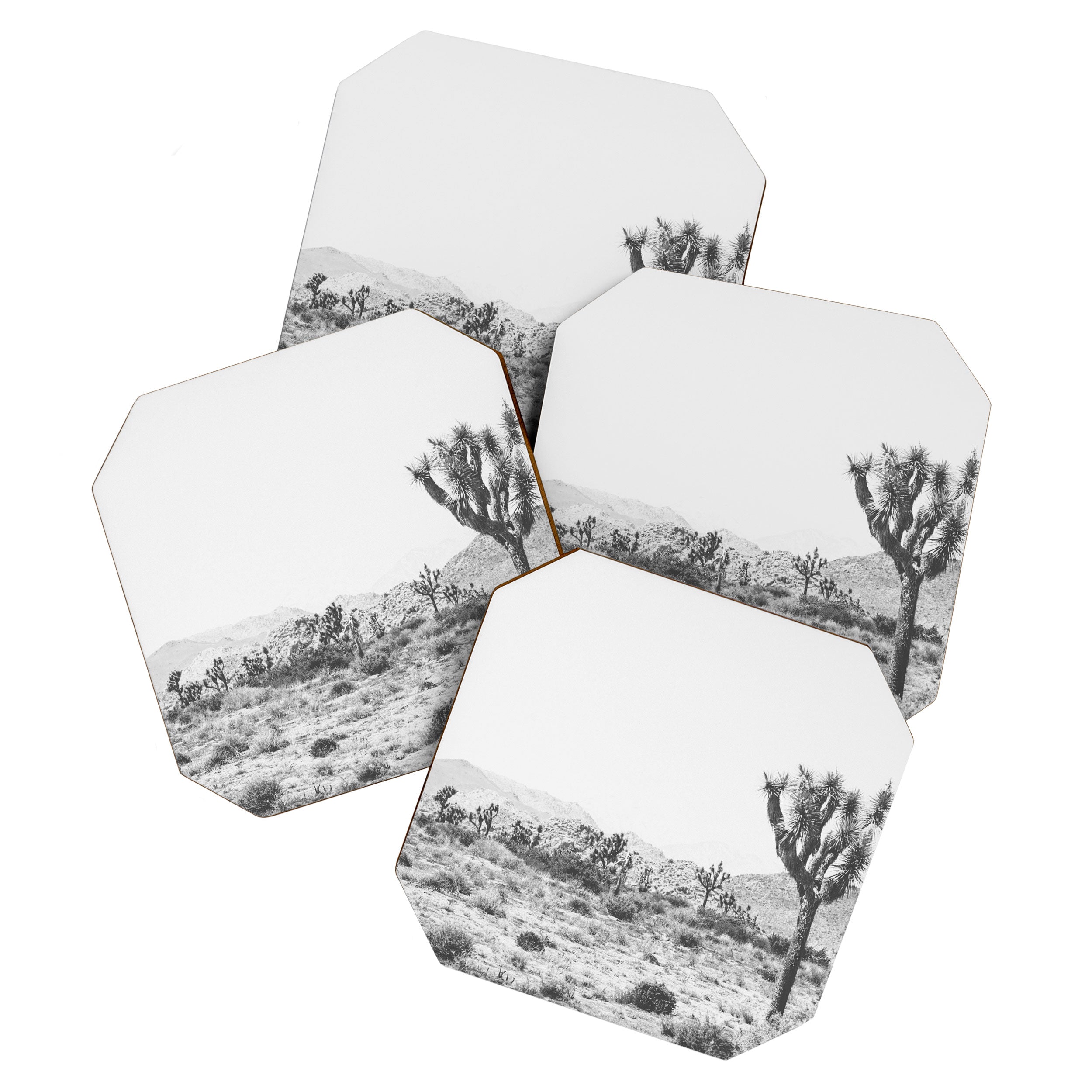 Joshua Tree Monochrome, No. 1 Coaster Gallery Image 1