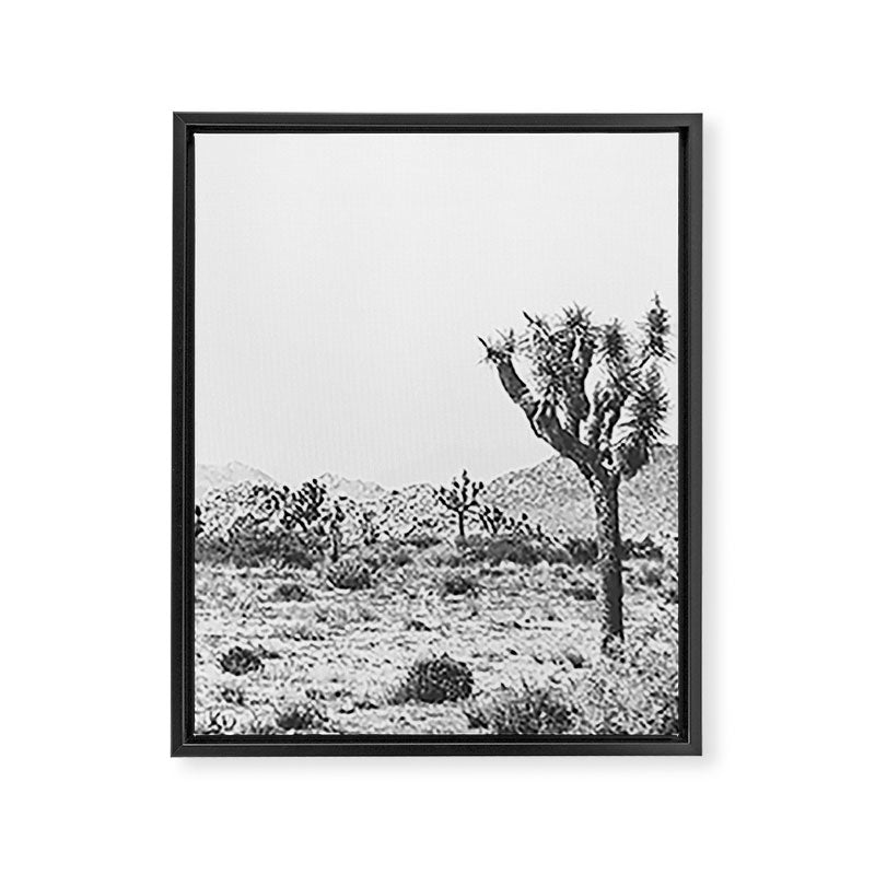 Joshua Tree Monochrome, No. 1 Framed Canvas Print Gallery Image 8