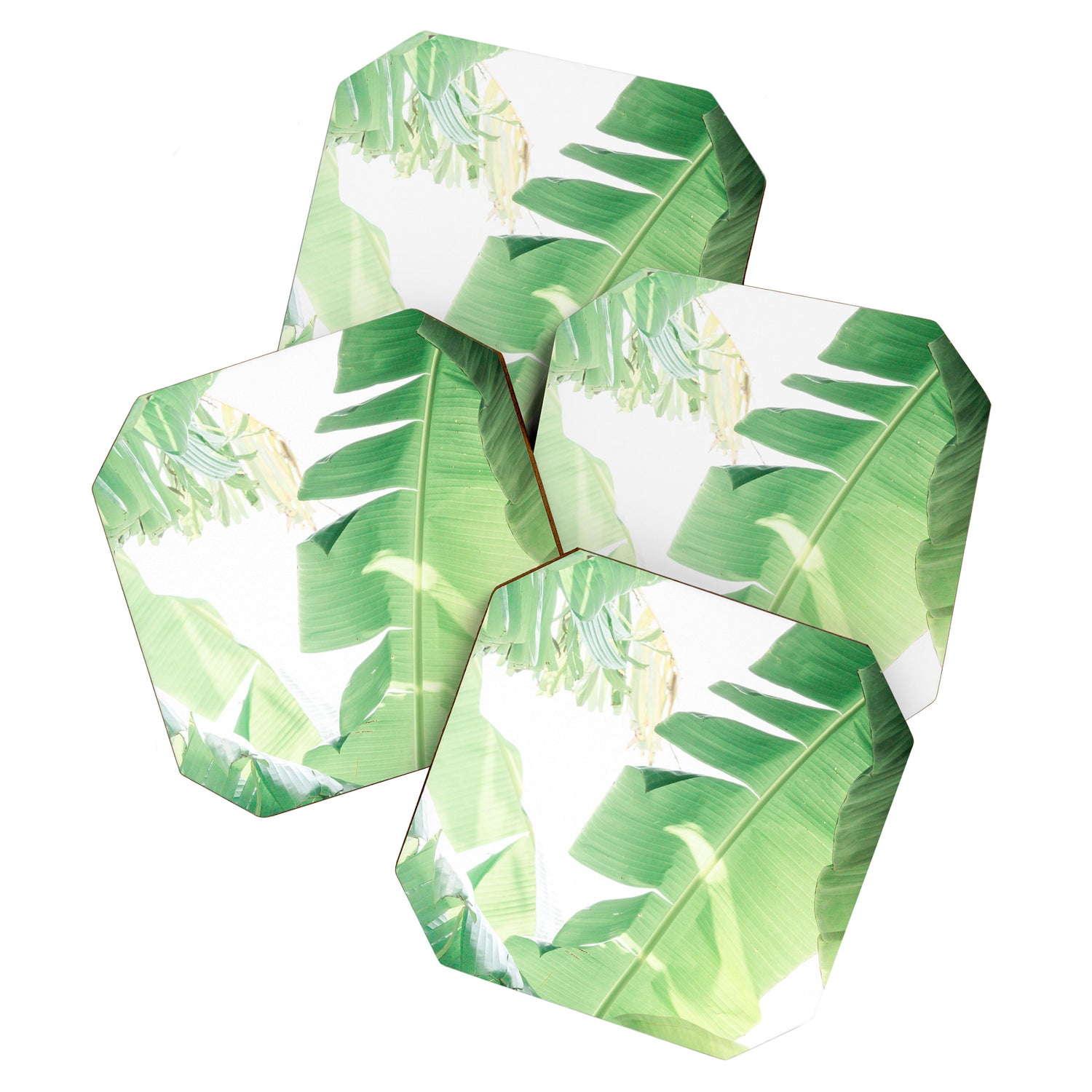 Jungle Abstract II Coaster Gallery Image 1