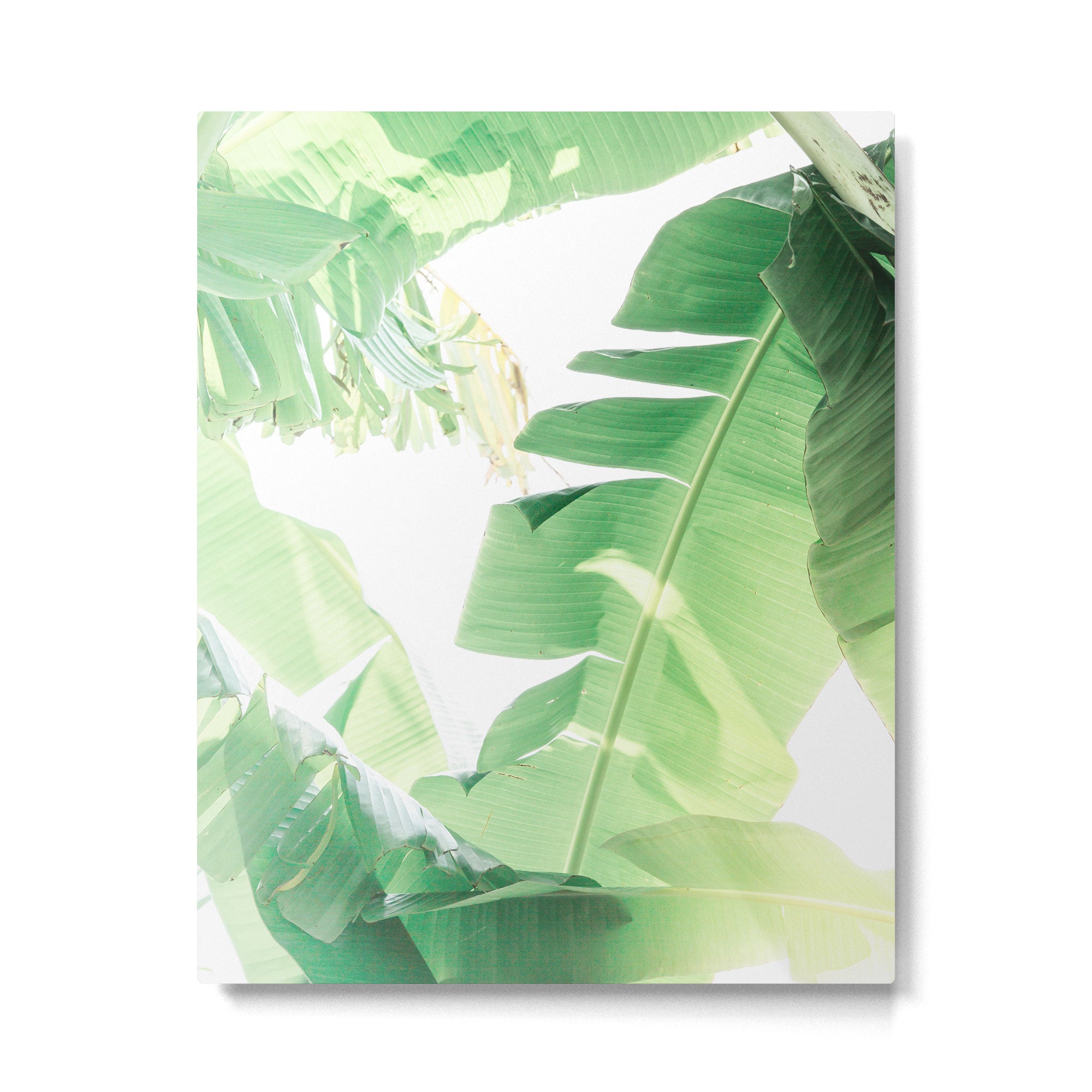 Jungle Abstract II Metal Print Gallery Image 4