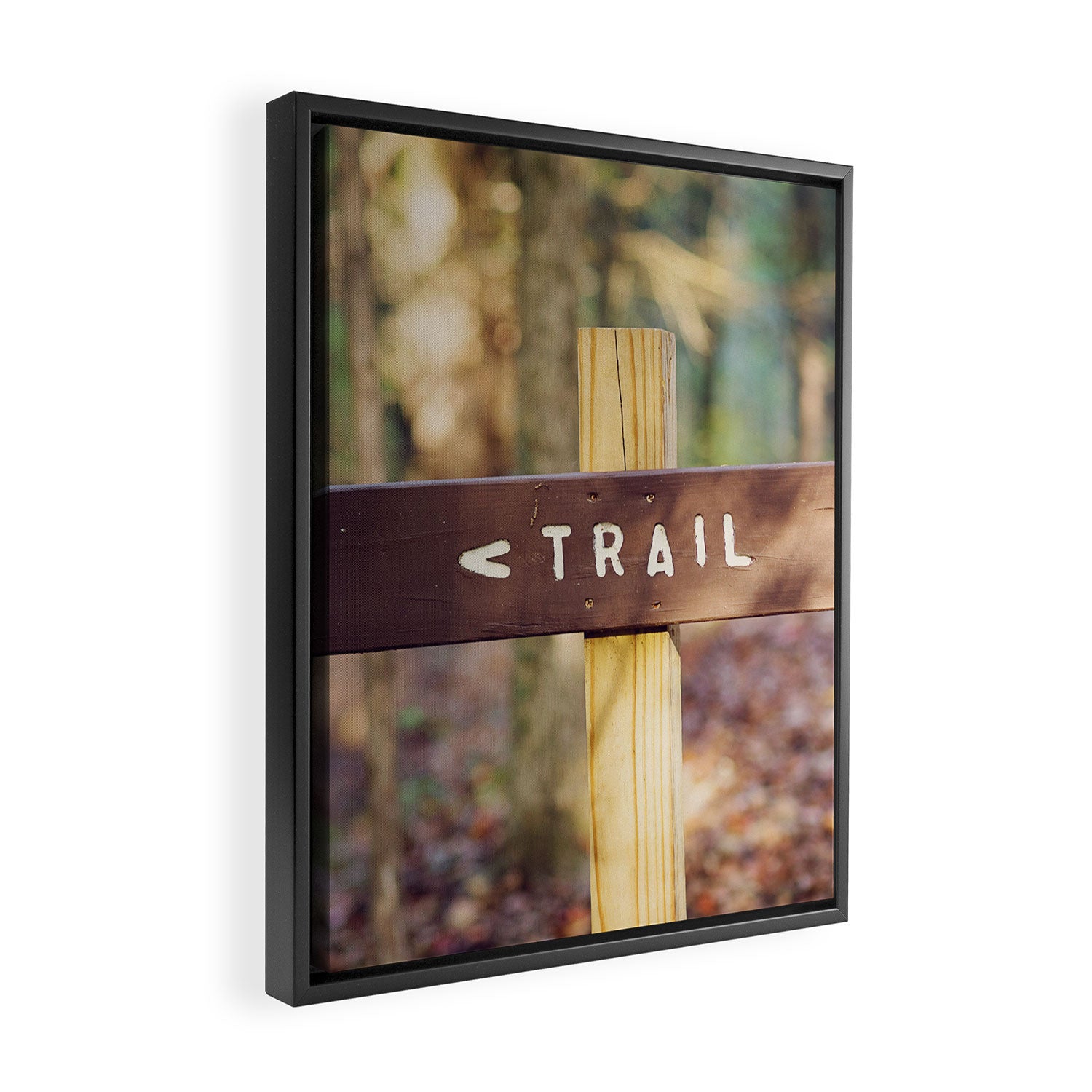 Let's Go Framed Canvas Print Gallery Image 2