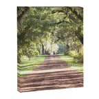 Louisiana Landscape Spanish Moss and Live Oaks Canvas Print Gallery Image 6