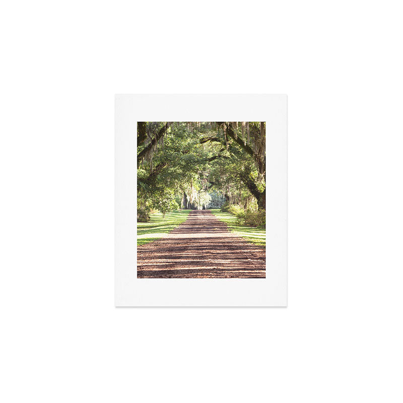 Louisiana Landscape Spanish Moss and Live Oaks Art Print Gallery Image 1
