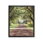 Louisiana Landscape Spanish Moss and Live Oaks Framed Canvas Print Gallery Image 6