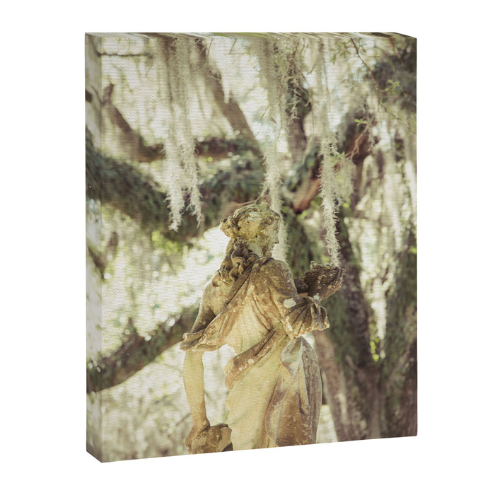 Louisiana Spanish Moss Canvas Print Gallery Image 1