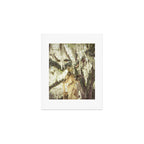 Louisiana Spanish Moss Art Print Gallery Image 1
