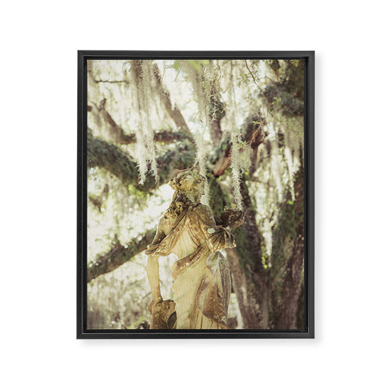 Louisiana Spanish Moss Framed Canvas Print Gallery Image 6