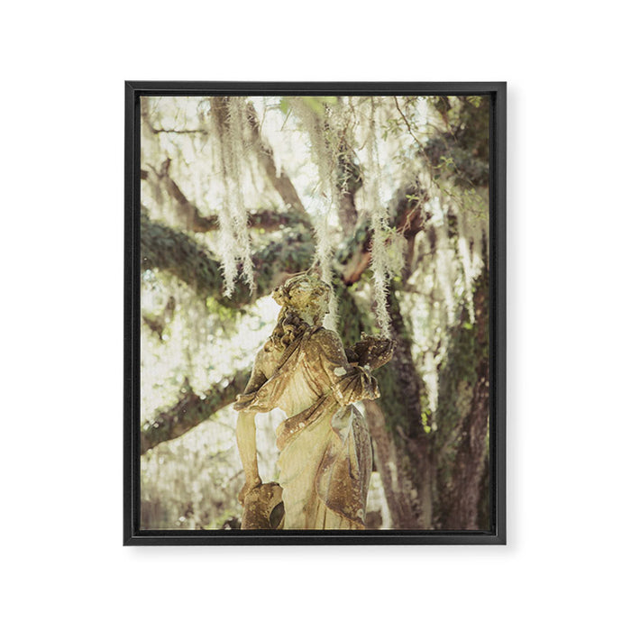 Louisiana Spanish Moss Framed Canvas Print Gallery Image 1