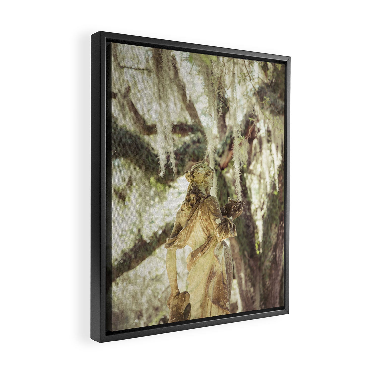 Louisiana Spanish Moss Framed Canvas Print Gallery Image 2