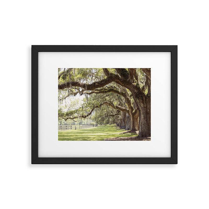 Lowcountry Avenue of Oaks x South Carolina Photography Framed Art Print Gallery Image 5