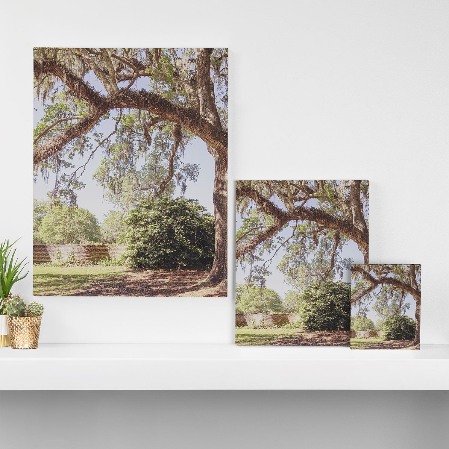 Lowcountry Live Oak x Coastal South Carolina Photography Canvas Print Gallery Image 3