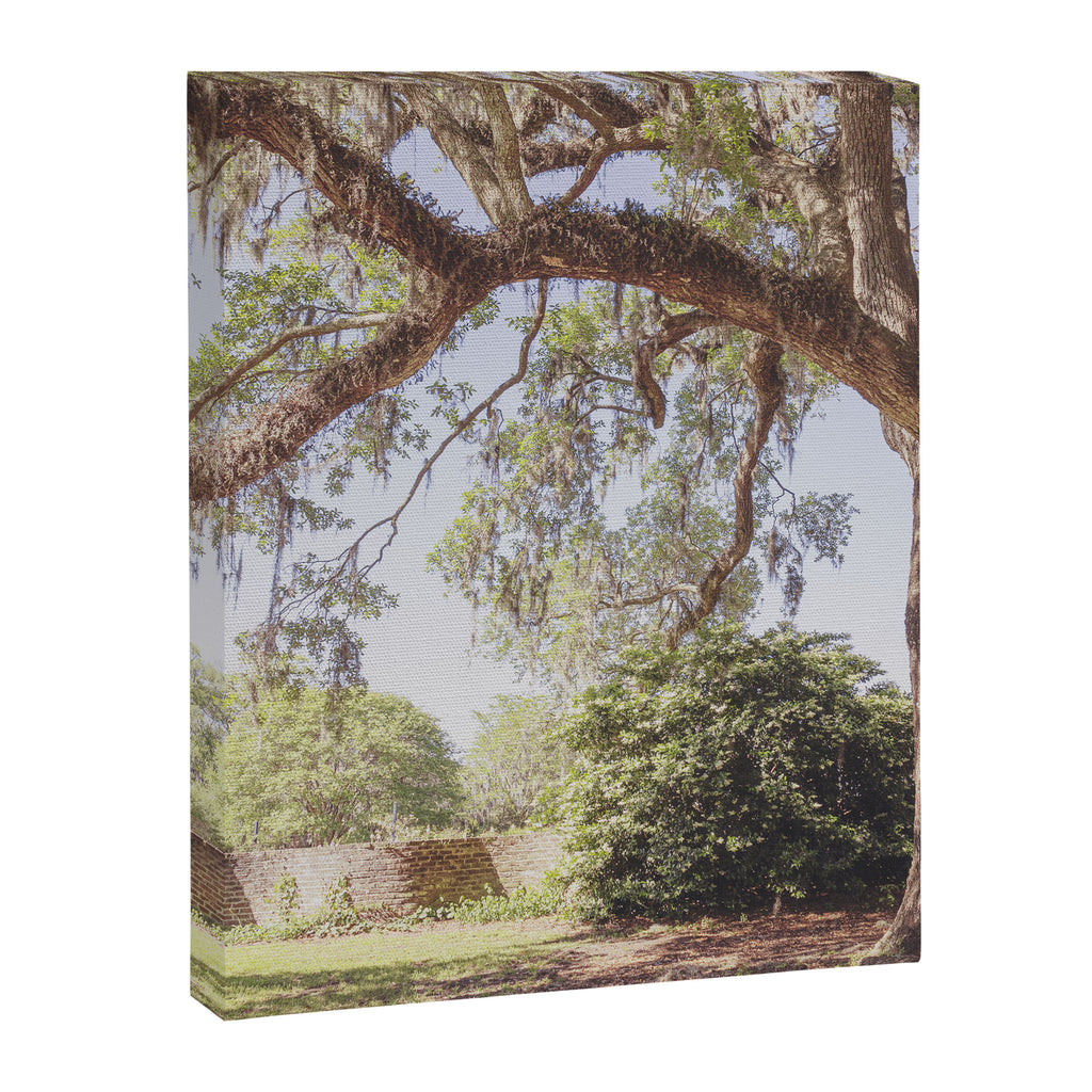 Lowcountry Live Oak x Coastal South Carolina Photography Canvas Print Gallery Image 6