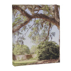 Lowcountry Live Oak x Coastal South Carolina Photography Canvas Print Gallery Image 6