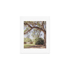 Lowcountry Live Oak x Coastal South Carolina Photography Art Print Gallery Image 1