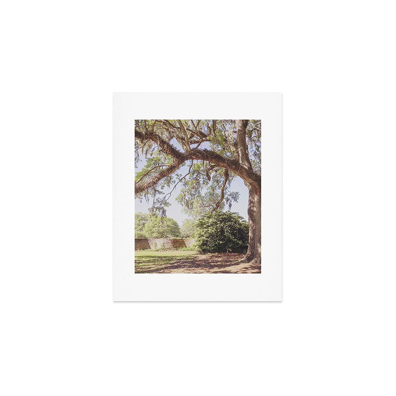 Lowcountry Live Oak x Coastal South Carolina Photography Art Print Gallery Image 1