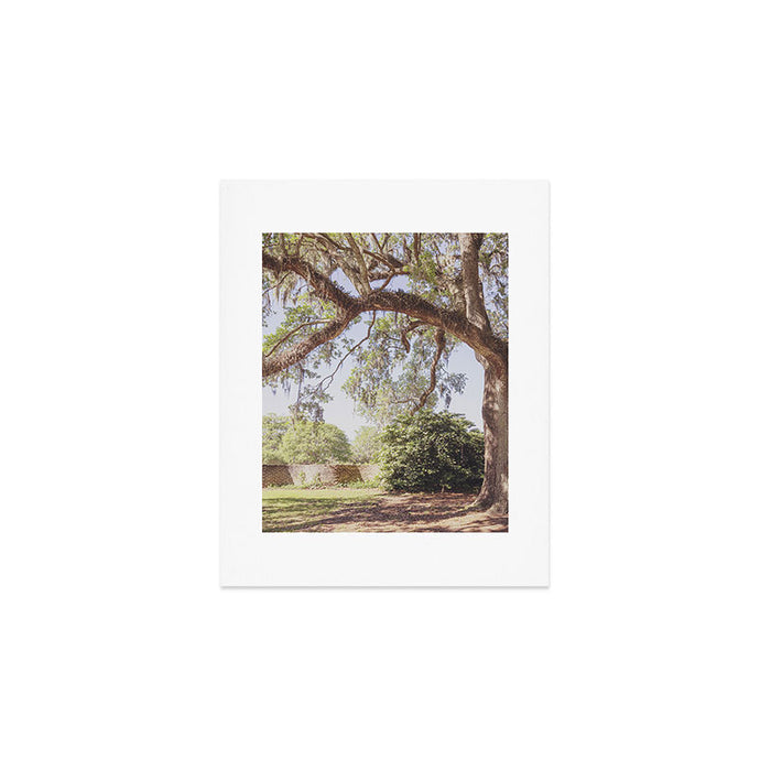 Lowcountry Live Oak x Coastal South Carolina Photography Art Print Gallery Image 1