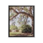 Lowcountry Live Oak x Coastal South Carolina Photography Framed Canvas Print Gallery Image 6