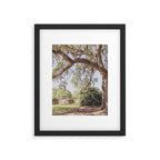 Lowcountry Live Oak x Coastal South Carolina Photography Framed Art Print Gallery Image 5