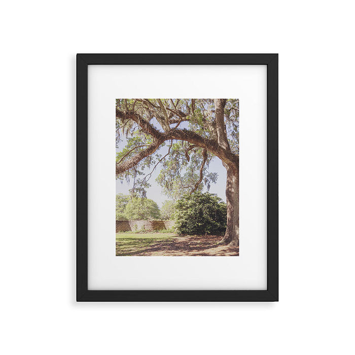 Lowcountry Live Oak x Coastal South Carolina Photography Framed Art Print Gallery Image 1