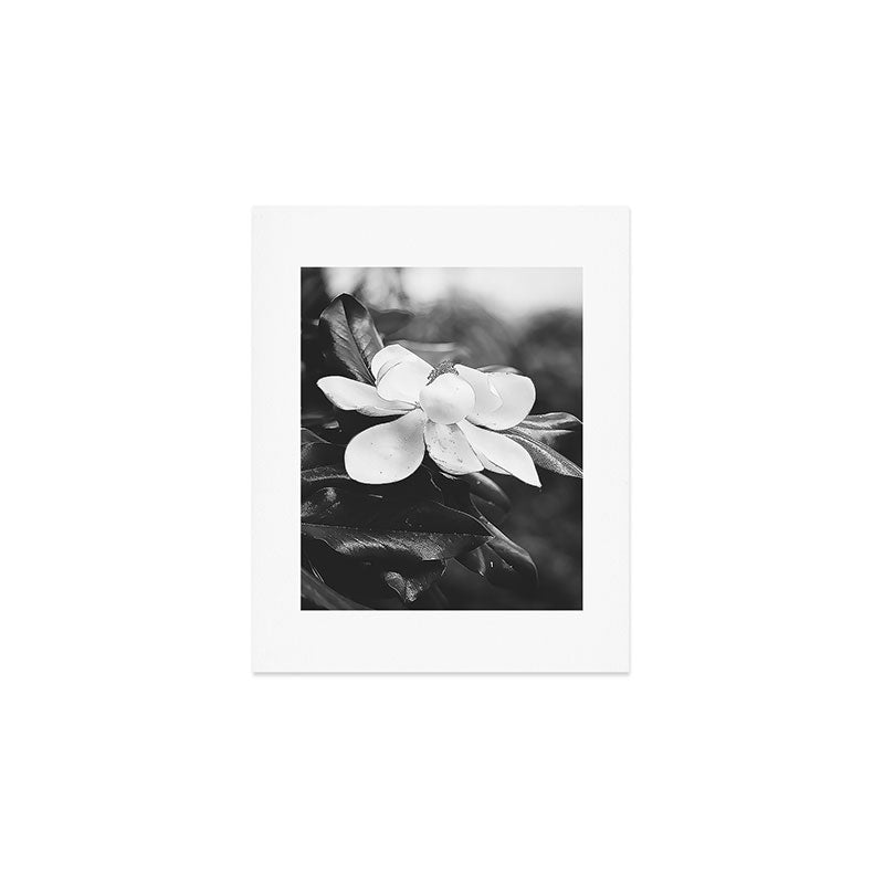 Magnolia Art Print Gallery Image 1