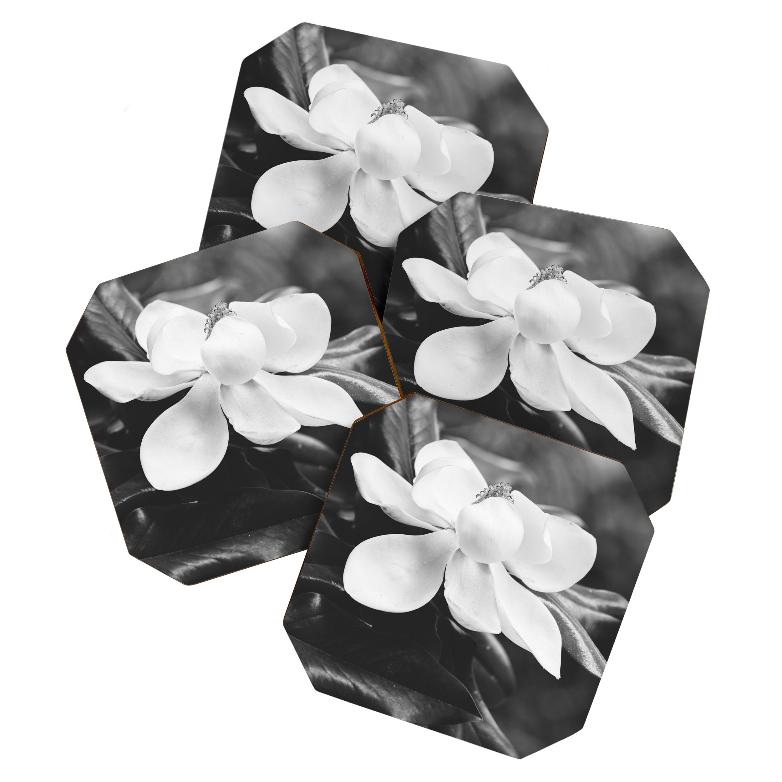 Magnolia Coaster Gallery Image 1