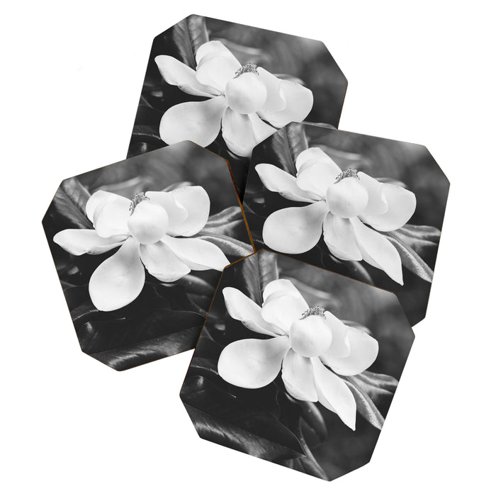 Magnolia Coaster Gallery Image 1