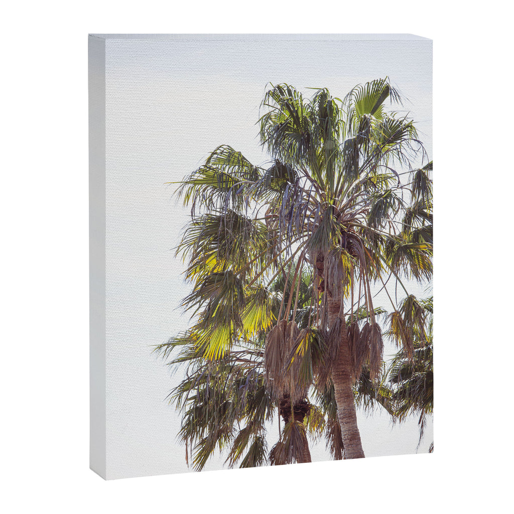 Malibu Palms x California Palm Trees Photography Canvas Print Gallery Image 6