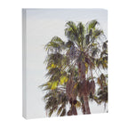 Malibu Palms x California Palm Trees Photography Canvas Print Gallery Image 6