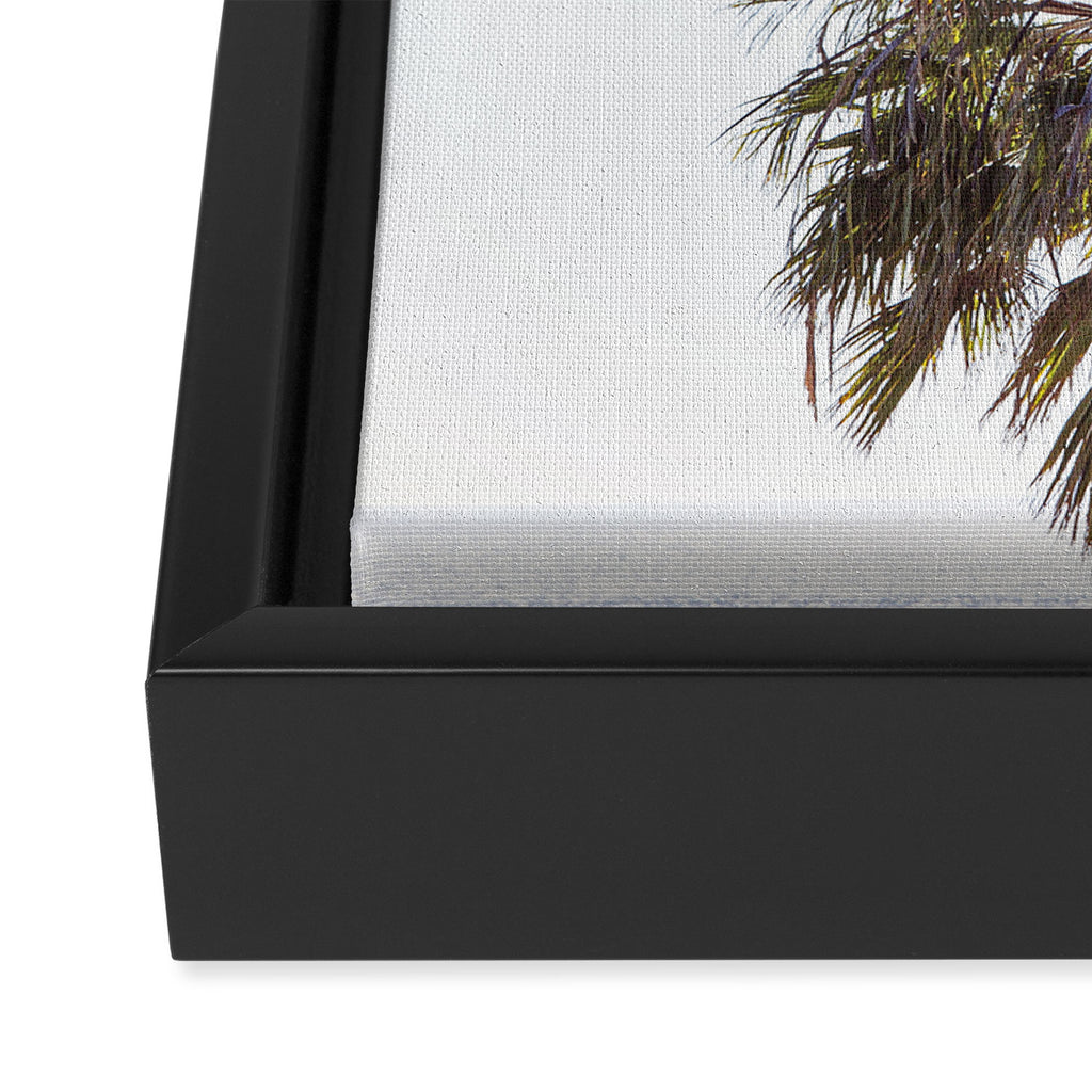 Malibu Palms x California Palm Trees Photography Framed Canvas Print Gallery Image 3
