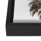 Malibu Palms x California Palm Trees Photography Framed Canvas Print Gallery Image 3