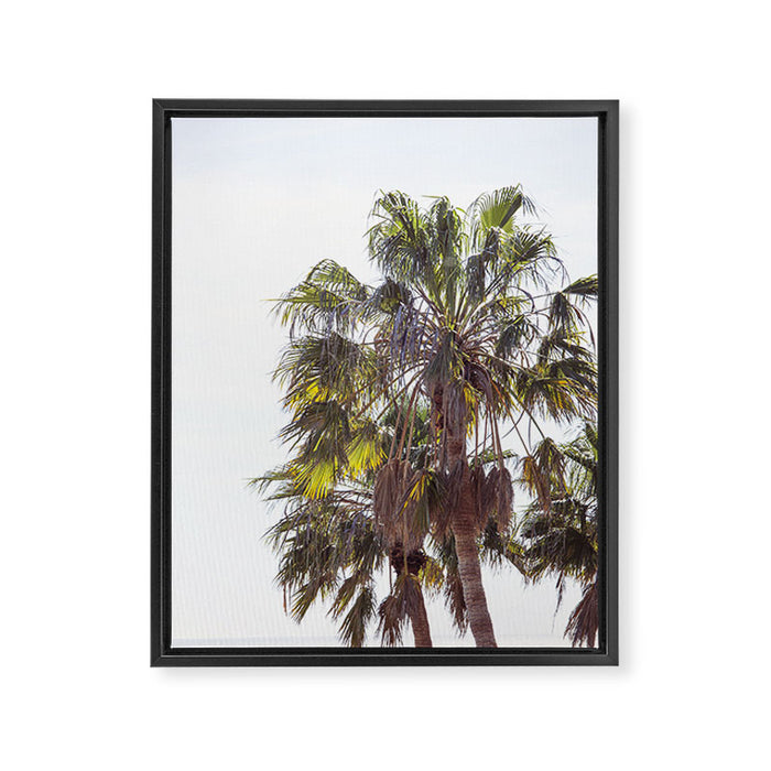 Malibu Palms x California Palm Trees Photography Framed Canvas Print Gallery Image 1