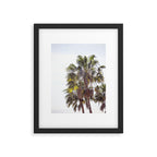 Malibu Palms x California Palm Trees Photography Framed Art Print Gallery Image 5