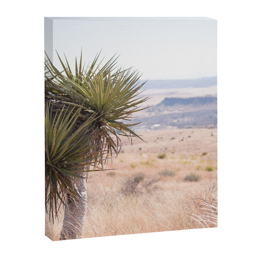 Marfa I - Home on the Range Canvas Print Gallery Image 6