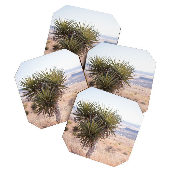 Marfa I - Home on the Range Coaster Gallery Image 1