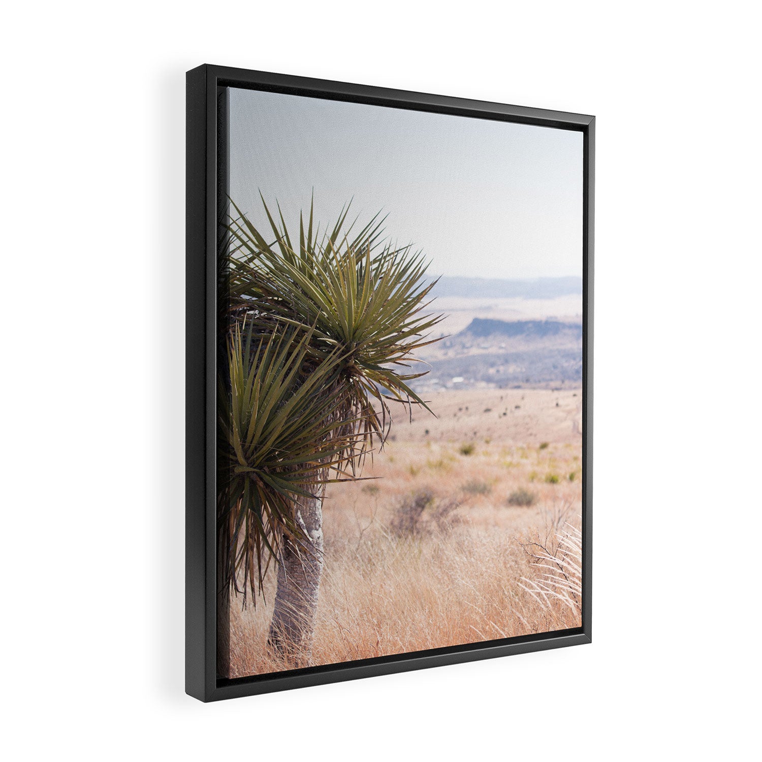 Marfa I - Home on the Range Framed Canvas Print Gallery Image 2