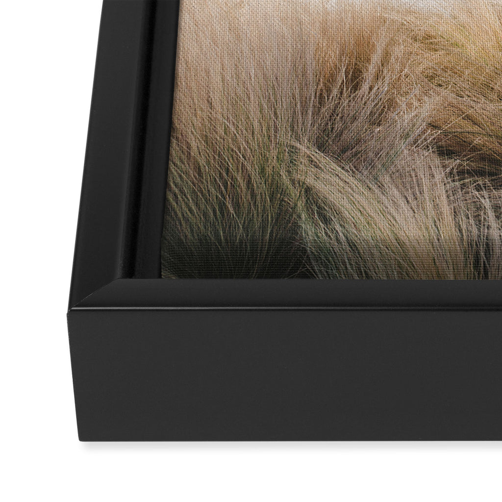 Marfa Minimalism Framed Canvas Print Gallery Image 3